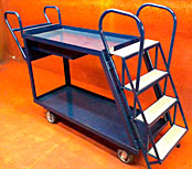 Carros Picking Taller Esperanza